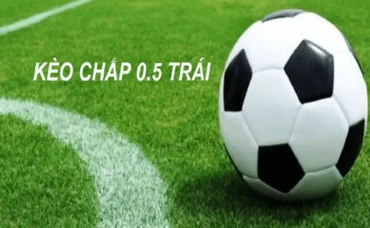 Hướng Dẫn Chi Tiết Cách Chơi Kèo Chấp 0.5 Hiệu Quả Cho Người Mới Bắt Đầu