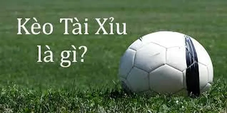 Hướng Dẫn Cách Đọc Kèo Tài Xỉu Hiệu Quả Mang Lại Lợi Nhuận Khủng Nhất