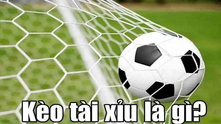 Những Chiến Thuật Đặt Cược Kèo Tài Xỉu Bóng Đá Đỉnh Cao Cho Mọi Người